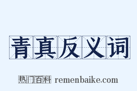 青真反义词是什么意思的图片